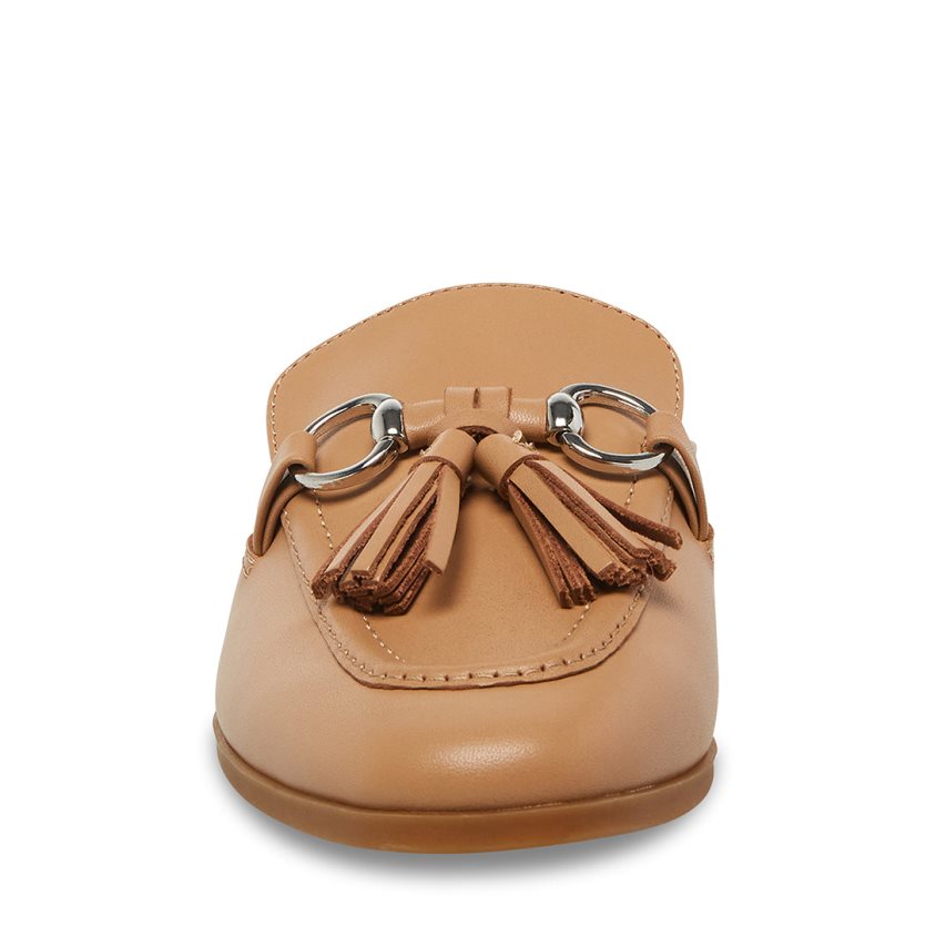 Brown Steve Madden Cayler Leather Women's Mules | PH 8973TJZ